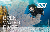 SSI OPEN WATER DIVER - Tauchschein