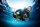 SSI OPEN WATER DIVER - Tauchschein