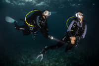 SSI NIGHT DIVING AND LIMITED VISIBILITY