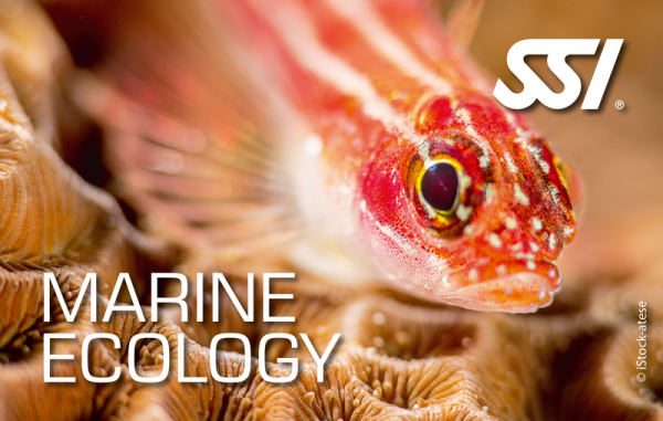SSI MARINE ECOLOGY - digital Kit - Onlinekurs
