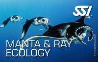 SSI MANTA & RAY ECOLOGY - digital Kit - Onlinekurs