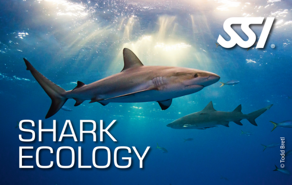 SSI SHARK ECOLOGY - digital Kit - Onlinekurs
