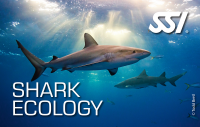 SSI SHARK ECOLOGY - Onlinekurs