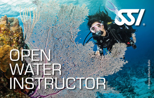 SSI OPEN WATER INSTRUCTOR Bundle ( AI + ITC ) inkl. Evaluierung (IE)