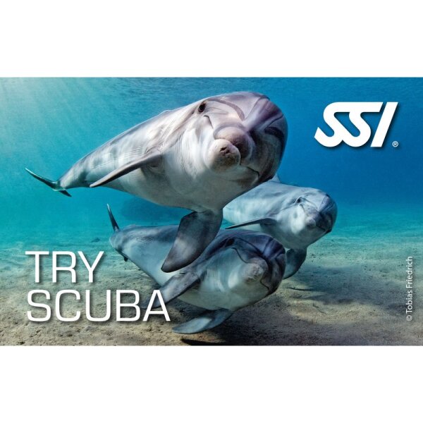 SSI TRY SCUBA VIP (1:1) - Schnuppertauchen