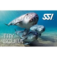 SSI TRY SCUBA VIP (1:1) - Schnuppertauchen