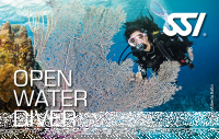 SSI OPEN WATER DIVER VIP (1:1) - Tauchschein