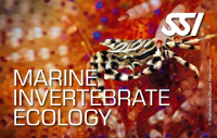 SSI MARINE INVERTEBRATE ECOLOGY - digital Kit - Onlinekurs