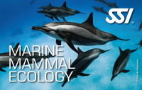 SSI MARINE MAMMAL ECOLOGY - digital Kit - Onlinekurs