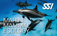 SSI MARINE MAMMAL ECOLOGY - Onlinekurs