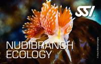 SSI ECOLOGY BUNDLE - 5 zum Preis von 4